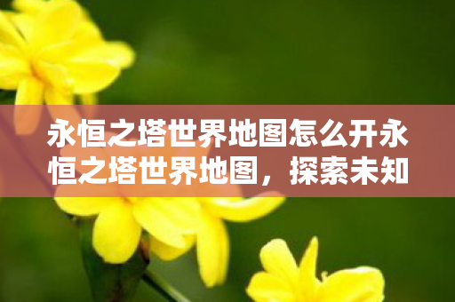 永恒之塔世界地图怎么开永恒之塔世界地图图片