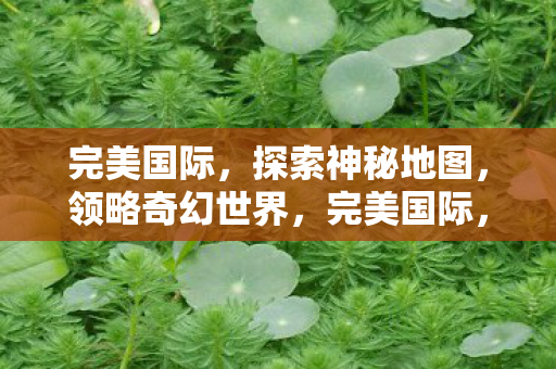 探索神秘地图图片