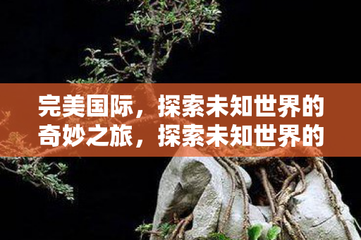 探索未知世界的奇妙之旅图片