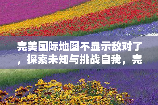 完美国际地图不显示敌对了图片