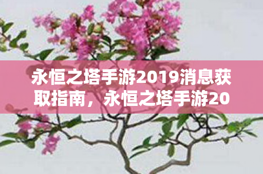 永恒之塔手游2019最新消息获取指南图片
