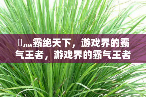 乄灬霸绝天下,游戏界的霸气王者,游戏界的霸气王者,灬霸绝天下 乄灬霸绝天下,游戏界的霸气王者,游戏界的霸气王者,灬霸绝天下
