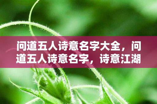 问道五人诗意名字大全,问道五人诗意名字,诗意江湖,名字大全 问道五人诗意名字大全,问道五人诗意名字,诗意江湖,名字大全