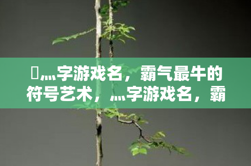 乄灬字游戏名，霸气最牛的符号艺术，灬字游戏名，霸气符号艺术的巅峰之作