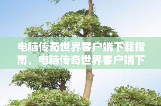 电脑传奇世界客户端下载指南图片