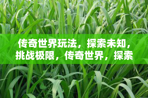 传奇世界玩法图片