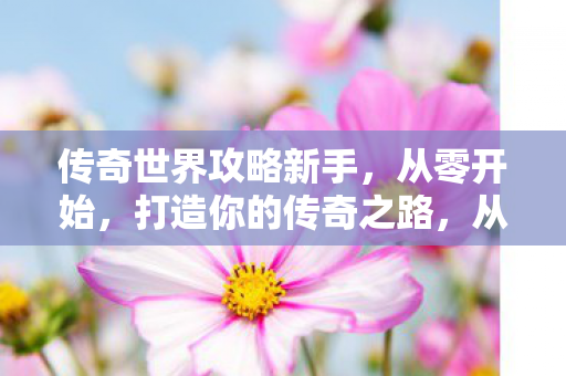 从零开始打造传奇之路图片