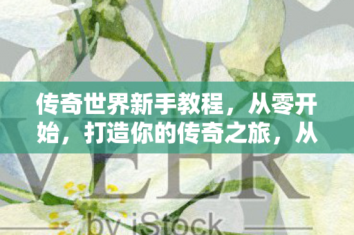 从零开始打造传奇之旅图片