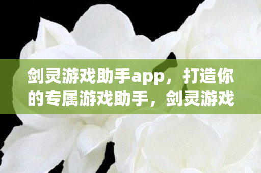 打造个性化专属游戏助手图片