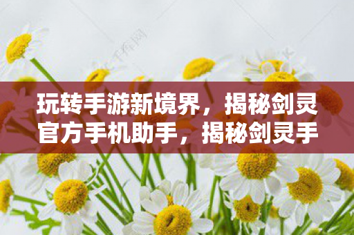 揭秘剑灵官方手机助手图片