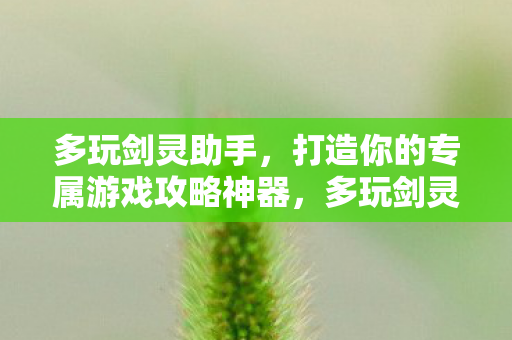 打造你的专属游戏攻略神器图片