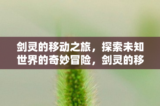 探索未知世界的奇妙冒险图片
