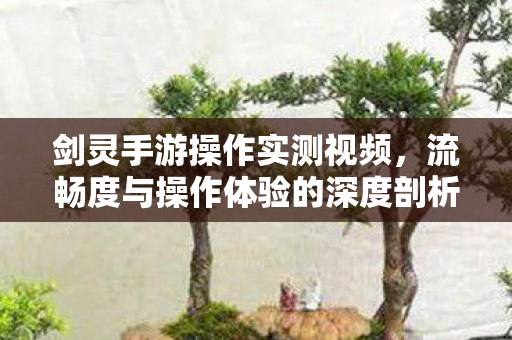 流畅度与操作体验的深度剖析图片