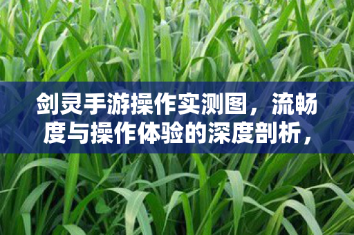 流畅度与操作体验的深度剖析图片