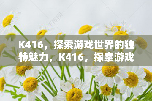 K416，探索游戏世界的独特魅力，K416，探索游戏世界的独特魅力