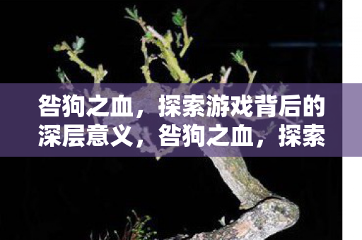 咎狗之血,探索游戏背后的深层意义,咎狗之血,探索游戏深层意义 咎狗之血,探索游戏背后的深层意义,咎狗之血,探索游戏深层意义