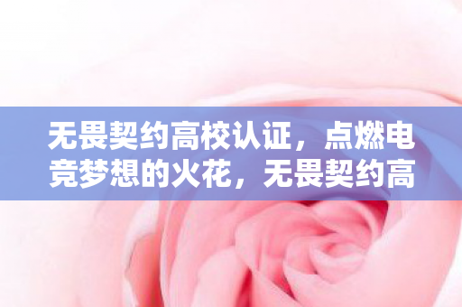 无畏契约高校认证,点燃电竞梦想的火花,无畏契约高校认证,点燃电竞梦想,开启电竞新篇章 无畏契约高校认证,点燃电竞梦想的火花,无畏契约高校认证,点燃电竞梦想,开启电竞新篇章