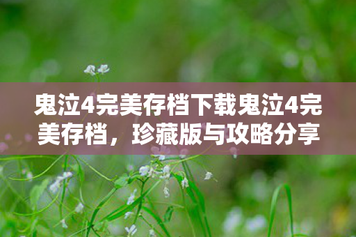 鬼泣4完美存档下载鬼泣4完美存档图片