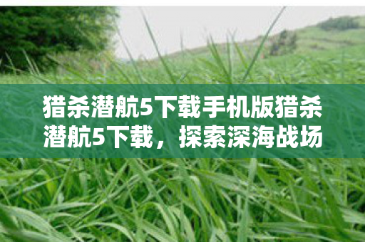 猎杀潜航5下载手机版猎杀潜航5下载，探索深海战场的绝佳选择，猎杀潜航5下载，探索深海战场，手机版的绝佳选择