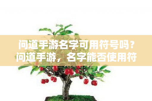 问道手游名字可用符号吗？问道手游，名字能否使用符号？