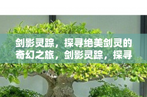 剑影灵踪,探寻绝美剑灵的奇幻之旅,剑影灵踪,探寻绝美剑灵的奇幻之旅 剑影灵踪,探寻绝美剑灵的奇幻之旅,剑影灵踪,探寻绝美剑灵的奇幻之旅