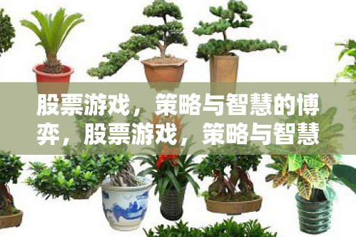 策略与智慧的博弈图片