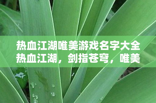 热血江湖唯美游戏名字大全热血江湖图片