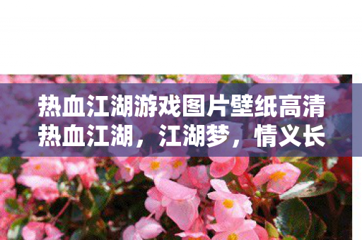热血江湖游戏图片壁纸高清热血江湖图片