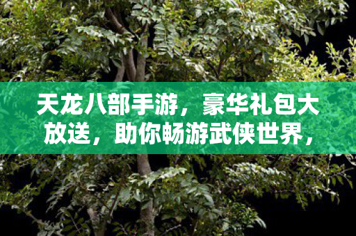 天龙八部手游豪华礼包大放送图片