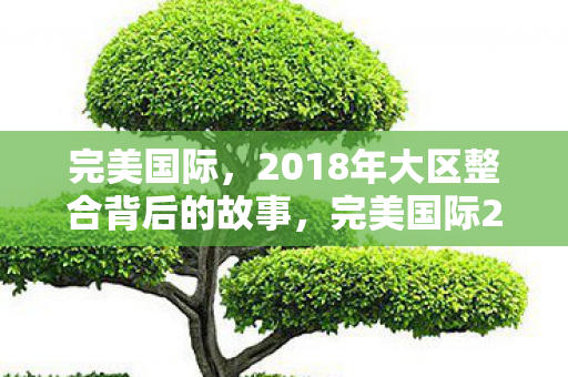 完美国际2018大区整合背后的故事图片