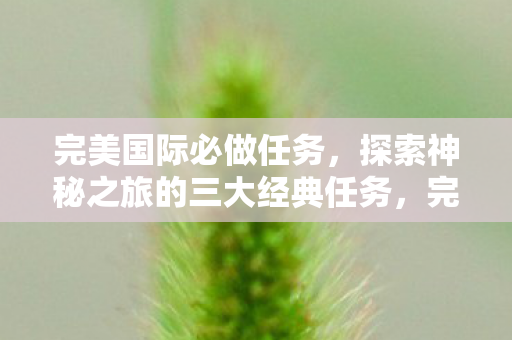 探索神秘之旅的三大经典任务图片