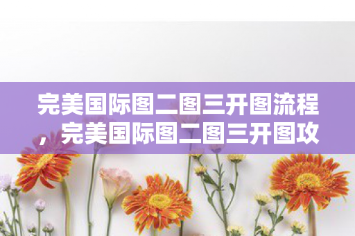 完美国际图二图三开图流程图片