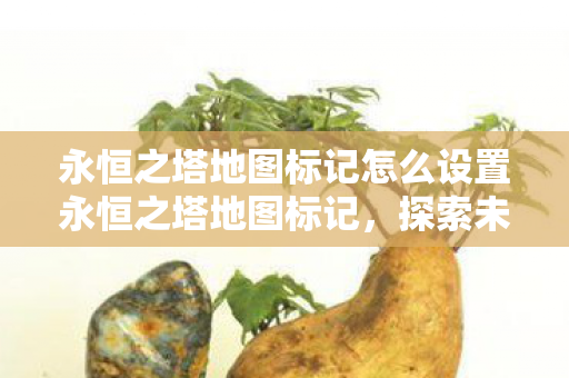 永恒之塔地图标记怎么设置永恒之塔地图标记图片