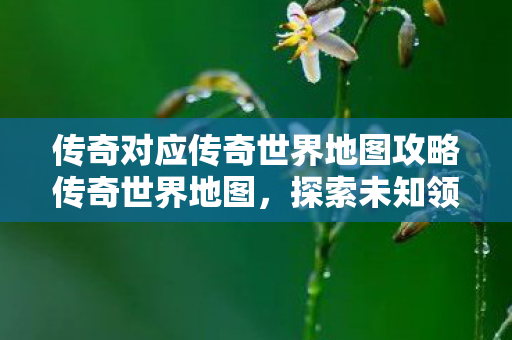 传奇对应传奇世界地图攻略传奇世界地图图片