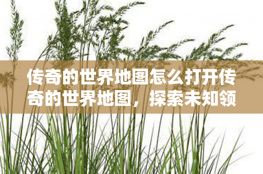 传奇的世界地图怎么打开传奇的世界地图图片