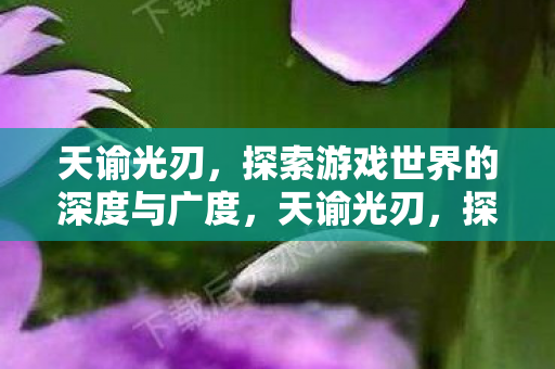 探索游戏世界的深度与广度图片