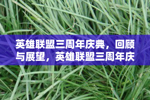 英雄联盟三周年庆典图片