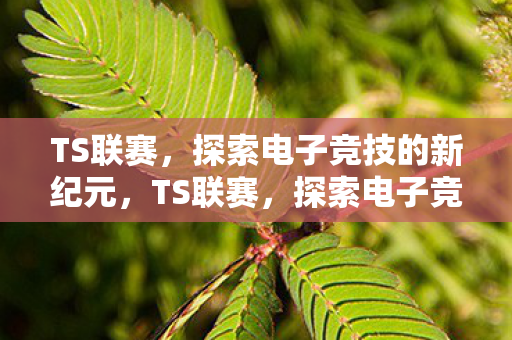 探索电子竞技的新纪元图片