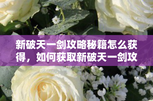 新破天一剑攻略秘籍怎么获得,如何获取新破天一剑攻略秘籍 新破天一剑攻略秘籍怎么获得,如何获取新破天一剑攻略秘籍