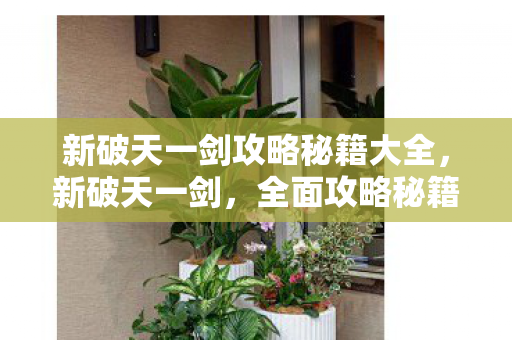 新破天一剑攻略秘籍大全，新破天一剑，全面攻略秘籍