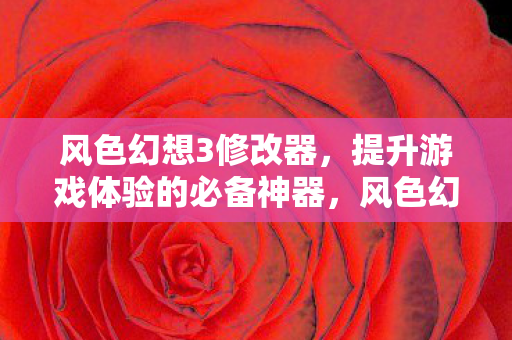 提升游戏体验的必备神器图片