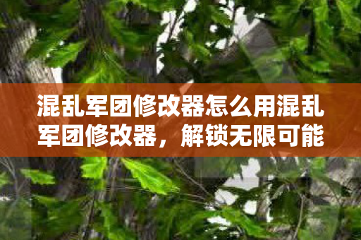 混乱军团修改器怎么用混乱军团修改器，解锁无限可能的冒险之旅，解锁无限可能的冒险之旅，混乱军团修改器使用指南