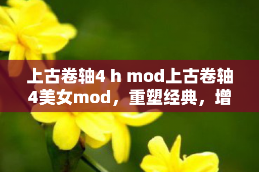 上古卷轴4 h mod上古卷轴4美女mod图片