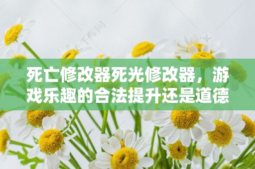 游戏乐趣的合法提升还是道德边界的试探图片