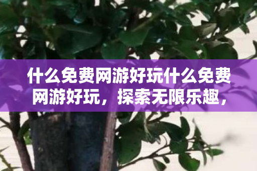 什么免费网游好玩什么免费网游好玩图片