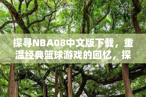 探寻NBA08中文版下载图片