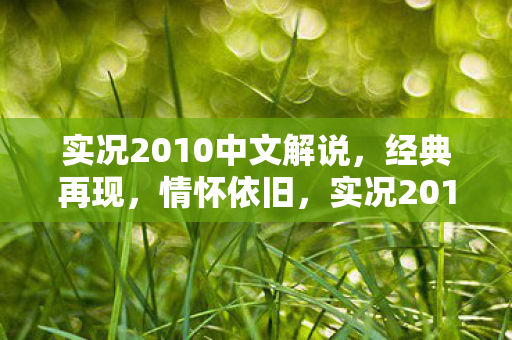 实况2010中文解说图片