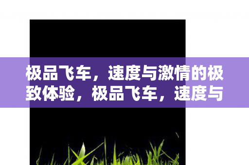 速度与激情的极致体验图片