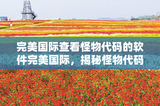 完美国际查看怪物代码的软件完美国际图片
