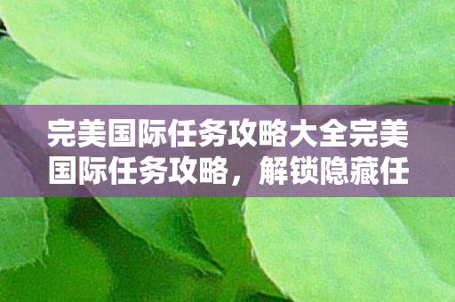 完美国际任务攻略大全完美国际任务攻略图片
